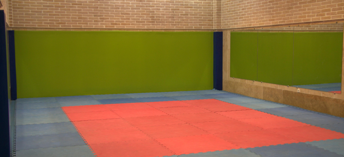 سالن تاتامی