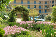 محوطه اقامتگاه