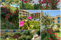 محوطه اقامتگاه